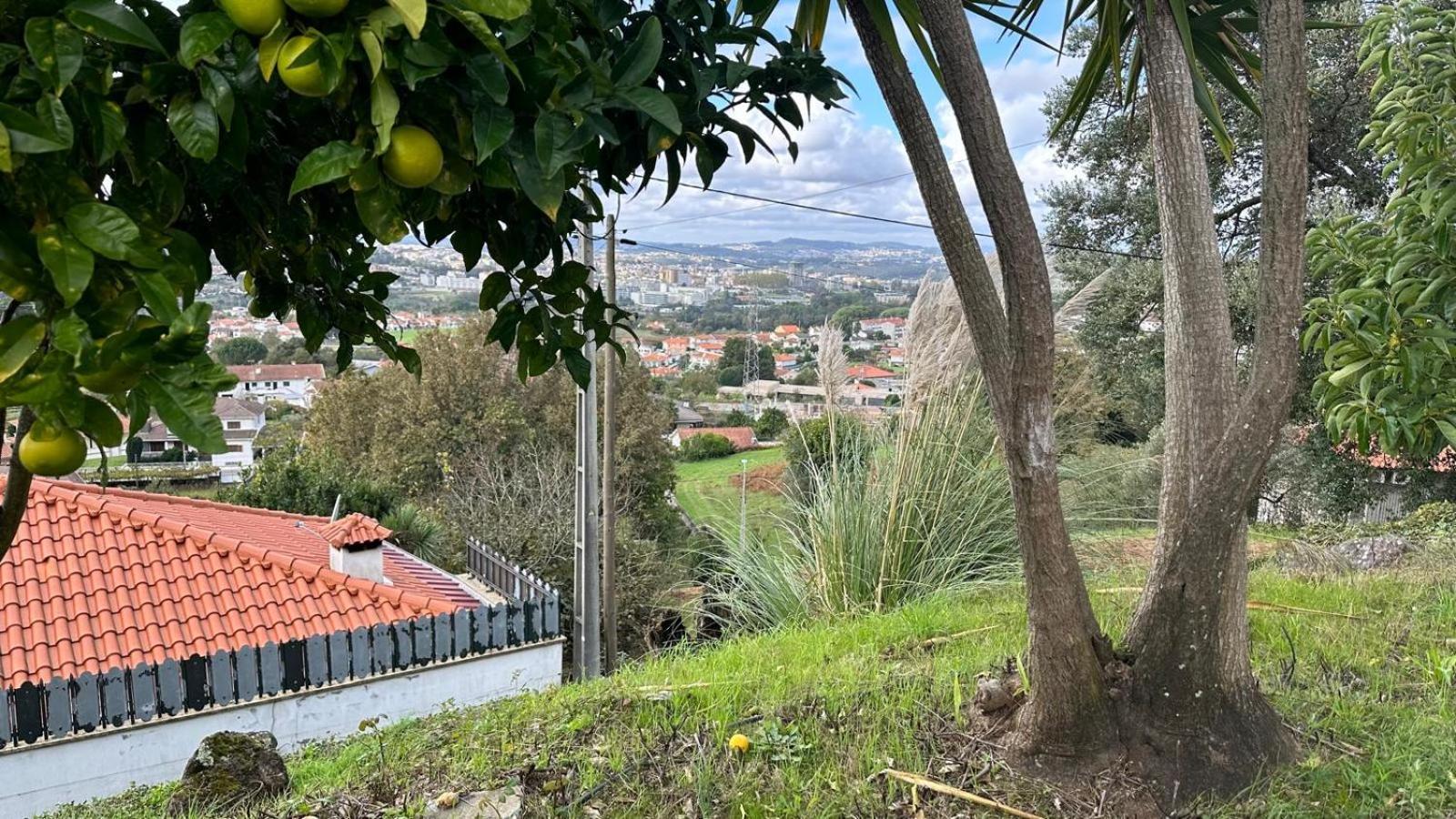 Cerca Do Casal Villa Santo Tirso Ngoại thất bức ảnh